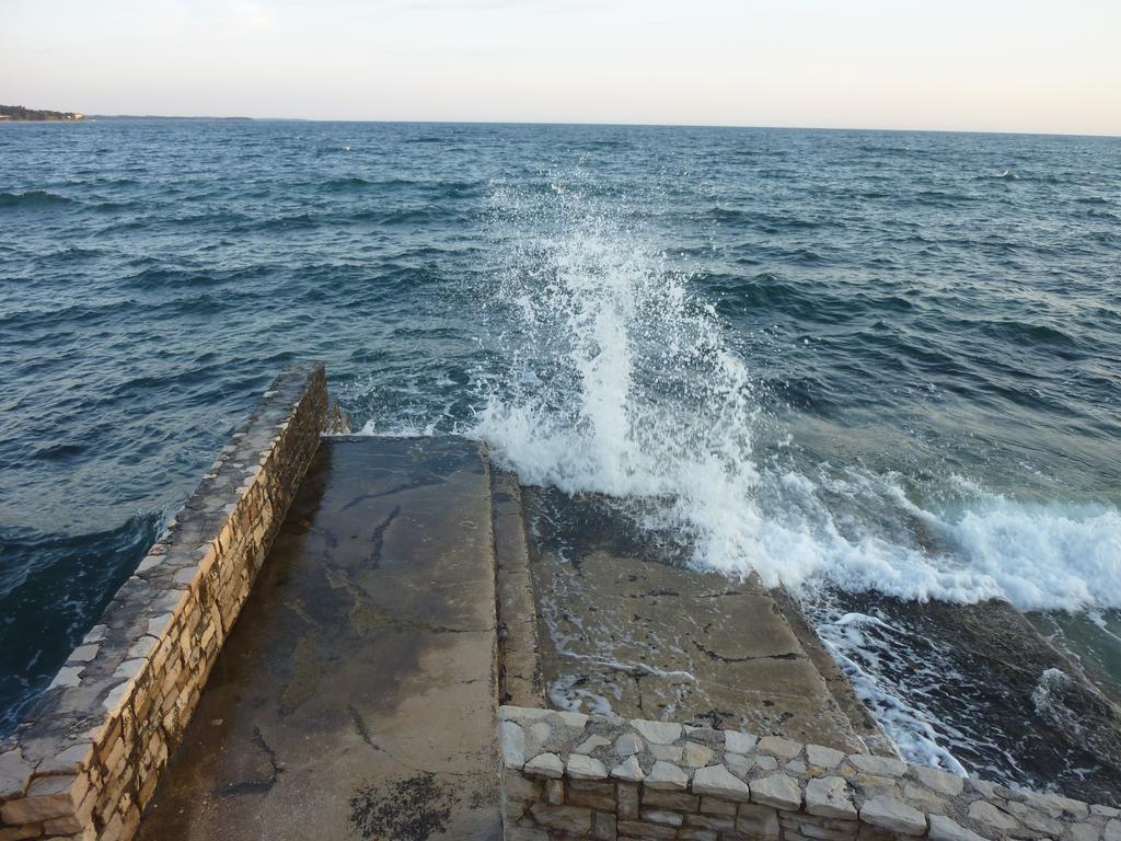 Slavica * Novigrad (Istria)
